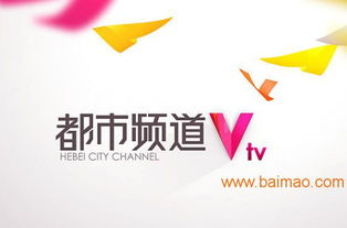 海王广告 专业铸就卓越，精准赋能河北电视台广告优势发布